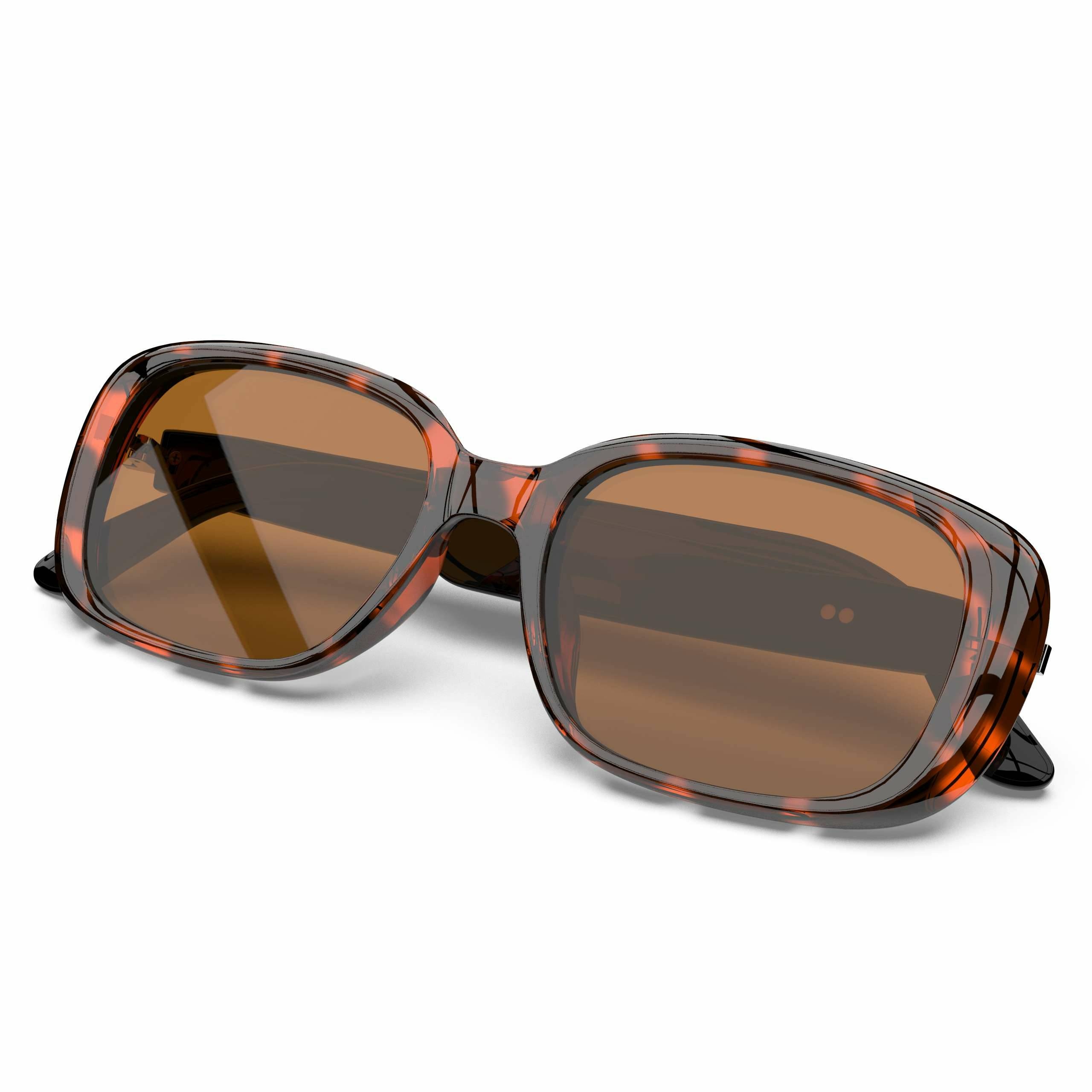 UF-17 Audio Glasses with translation