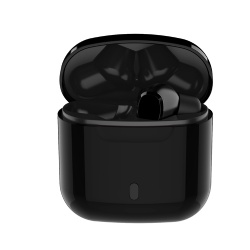 TWS-Q2 EARPHONE