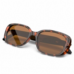 UF-17 Audio Glasses with translation