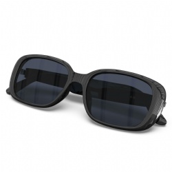 UF-17 Audio Glasses with translation